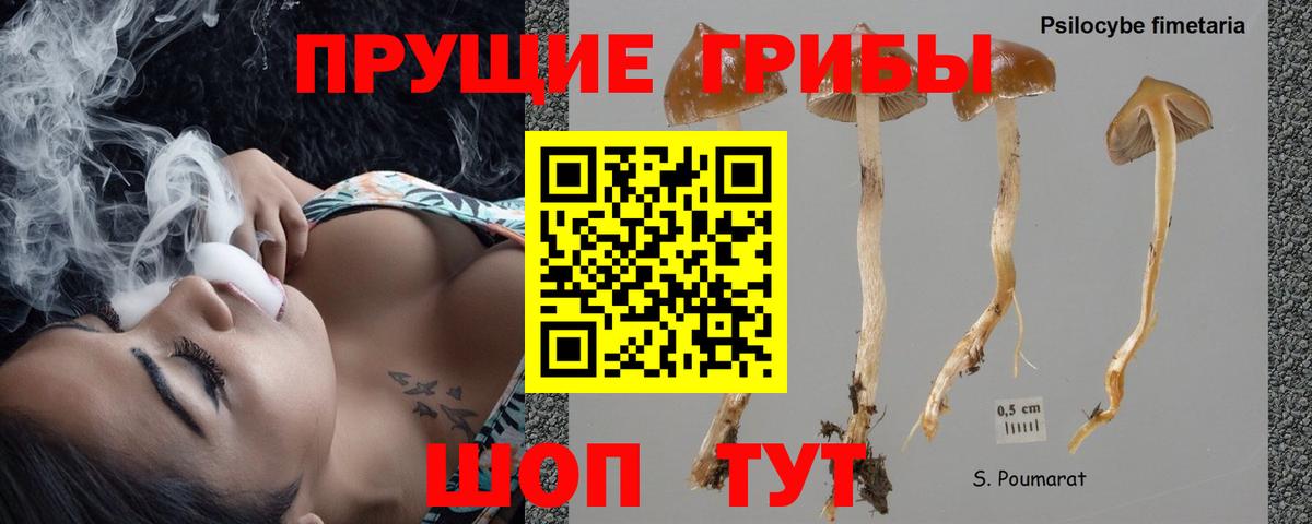 Малоярославец  Галлюциногенные грибы мицелий  Вход с VPN 